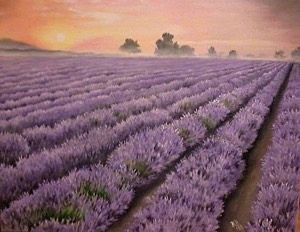 biljana-reynolds, oil painting, artist, lavender-fields