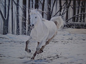white-horse-on-snow, biljana-reynolds, oil painting, artist, realism